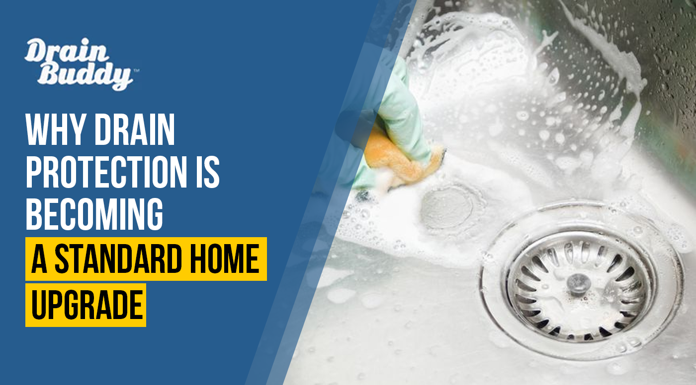 Modern drain protector installed in a household sink drain, catching debris to help prevent clogs and protect plumbing systems.
