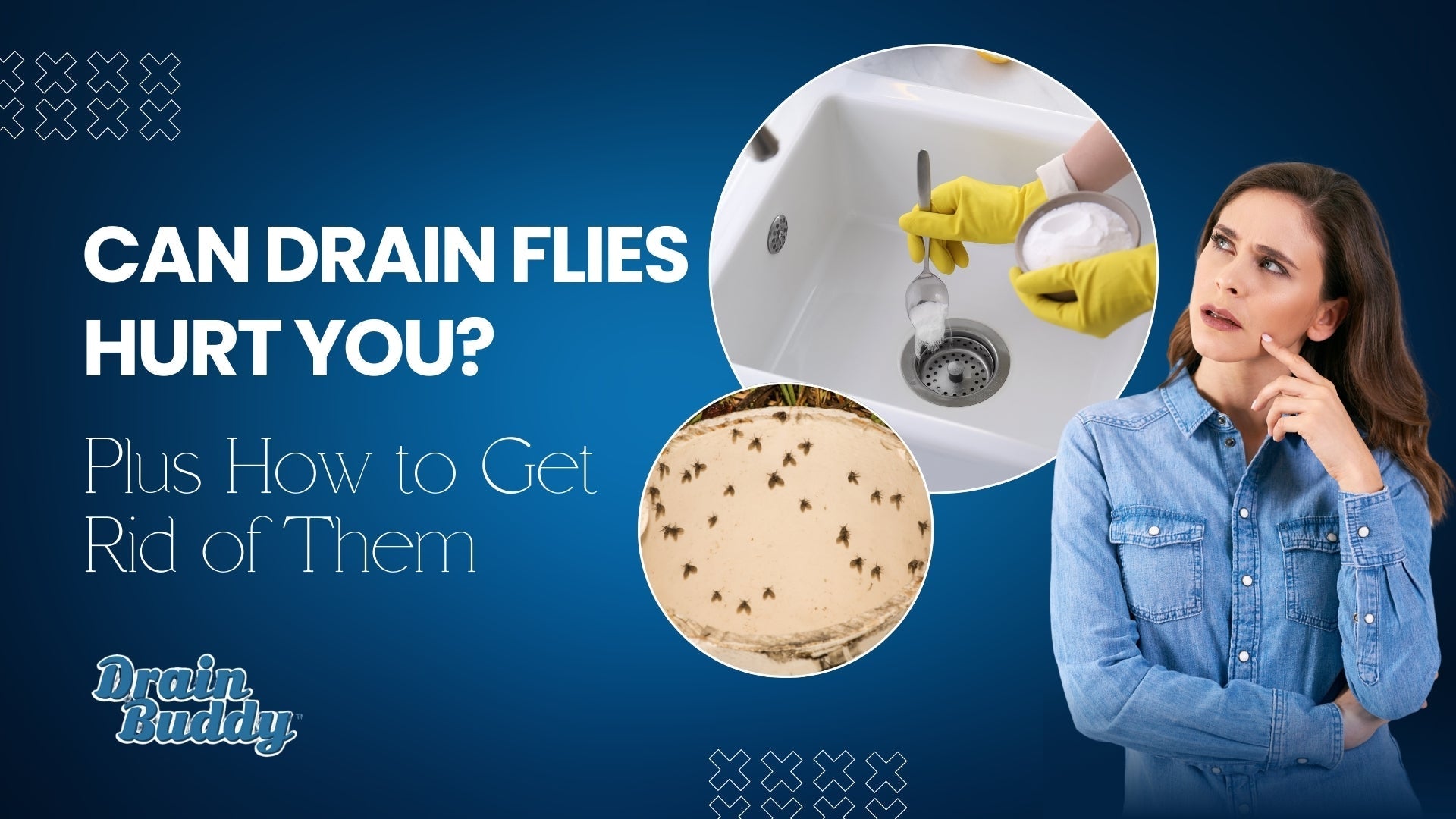 Can Drain Flies Harm You? Plus How To Get Rid Of Them