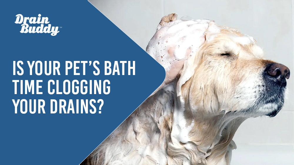Is your pet's bath time clogging your drains? Dog getting shampooed.