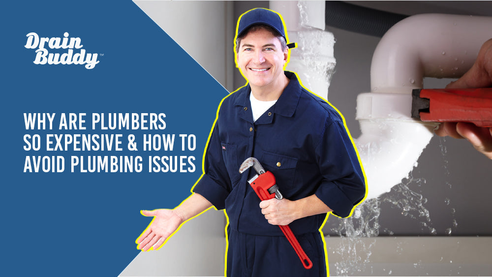 Why are plumbers so expensive and how to avoid plumbing issues.